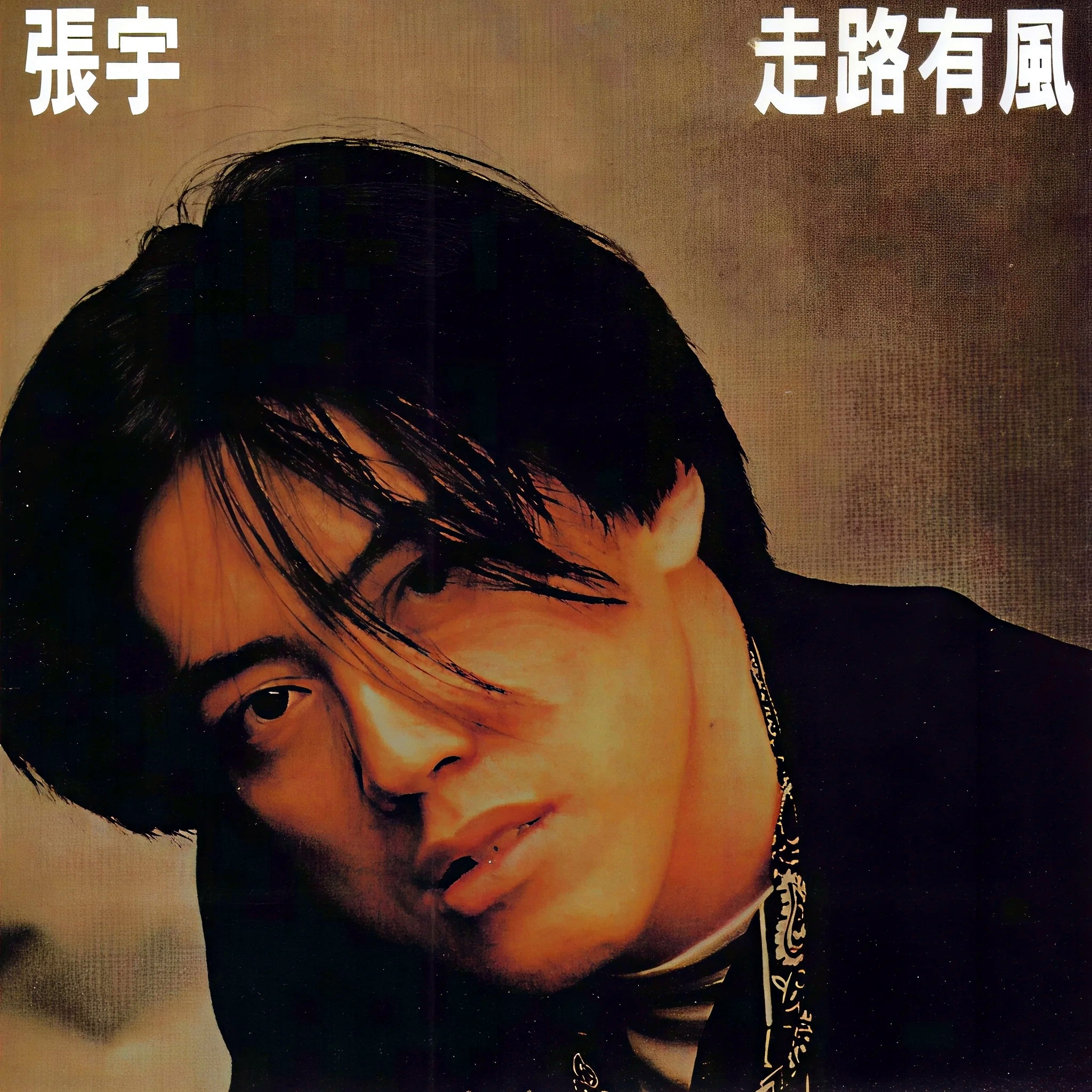 张宇-《走路有风》