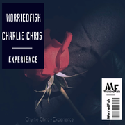 Experience