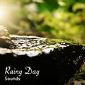 19 Rainy Day Sounds to Block out Noise and Sleep Peacefully