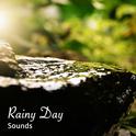 19 Rainy Day Sounds to Block out Noise and Sleep Peacefully专辑