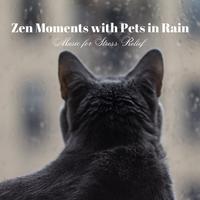 Zen Moments with Pets in Rain: Music for Stress Relief