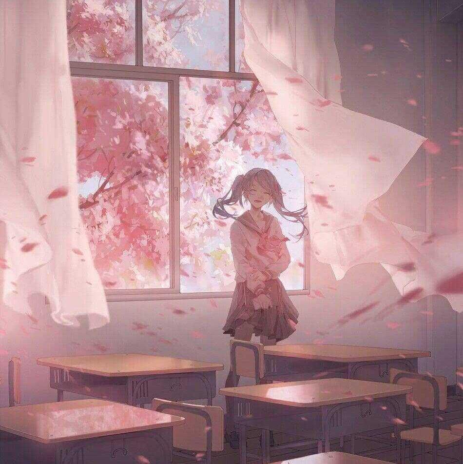 【纯音乐】读书/学习/个人收集／bgm
