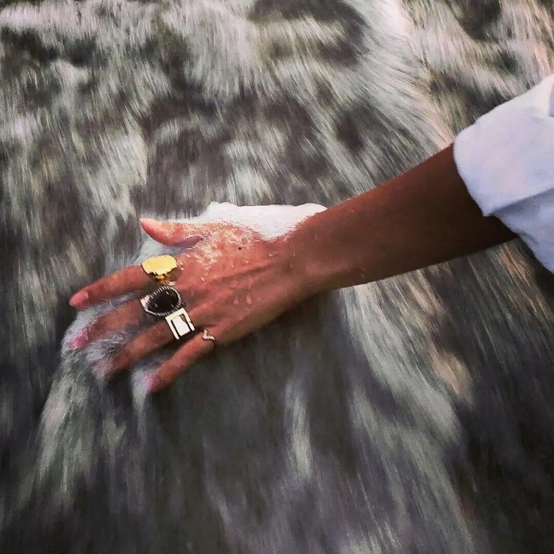 Black Sheep（0.8x）