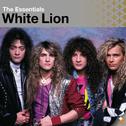 The Essential: White Lion