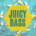 Juicy Bass专辑