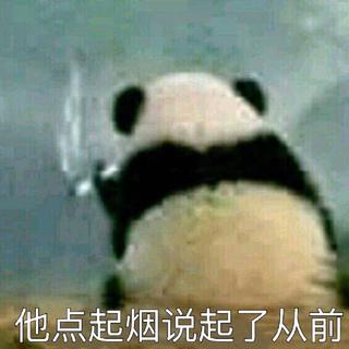 薄荷的各位宝宝