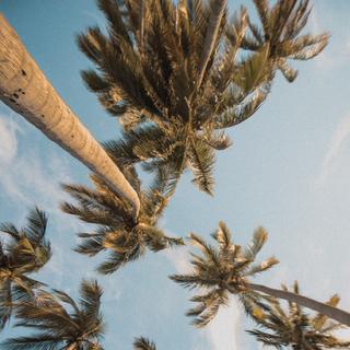 清凉电音 | 节奏控的夏日专属