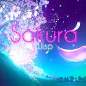 Sakura专辑