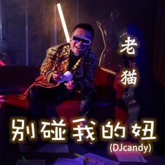 别碰我的妞 (DJcandy)