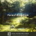 Forest Kingdom专辑