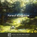 Forest Kingdom专辑