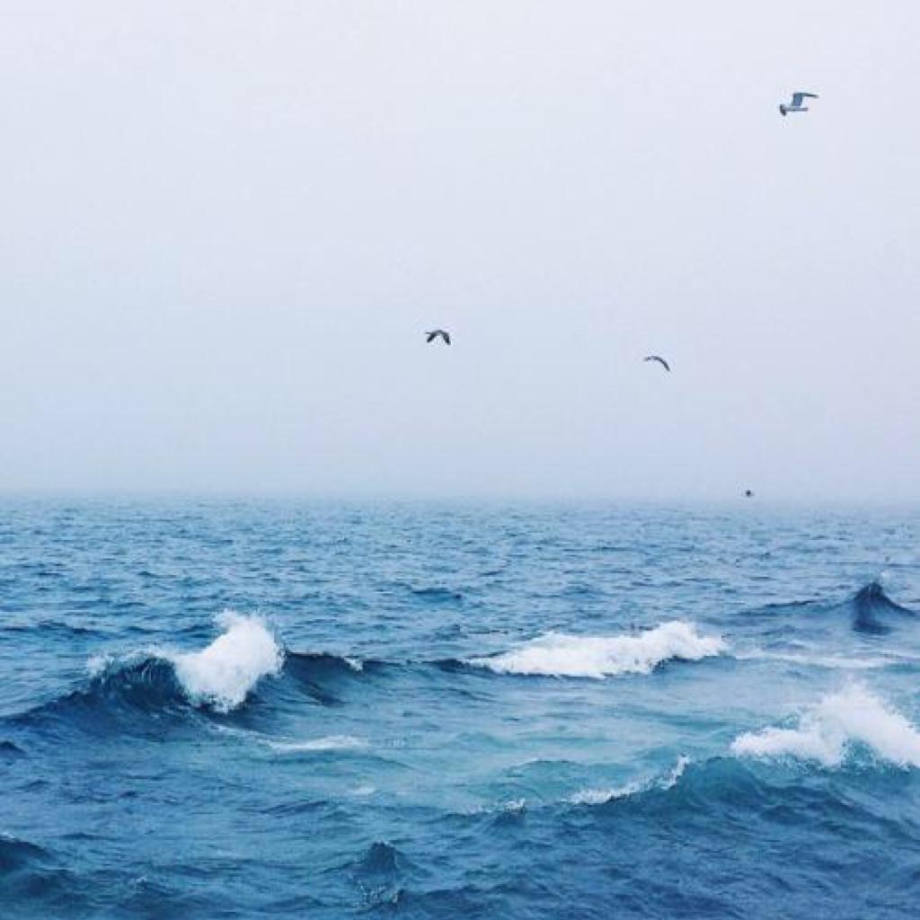 你听 大海的声音（海浪白噪声助眠）