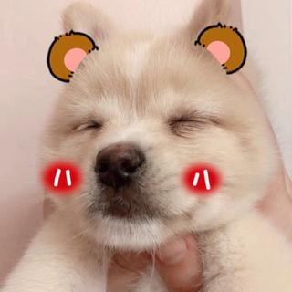 情话撞进你心里