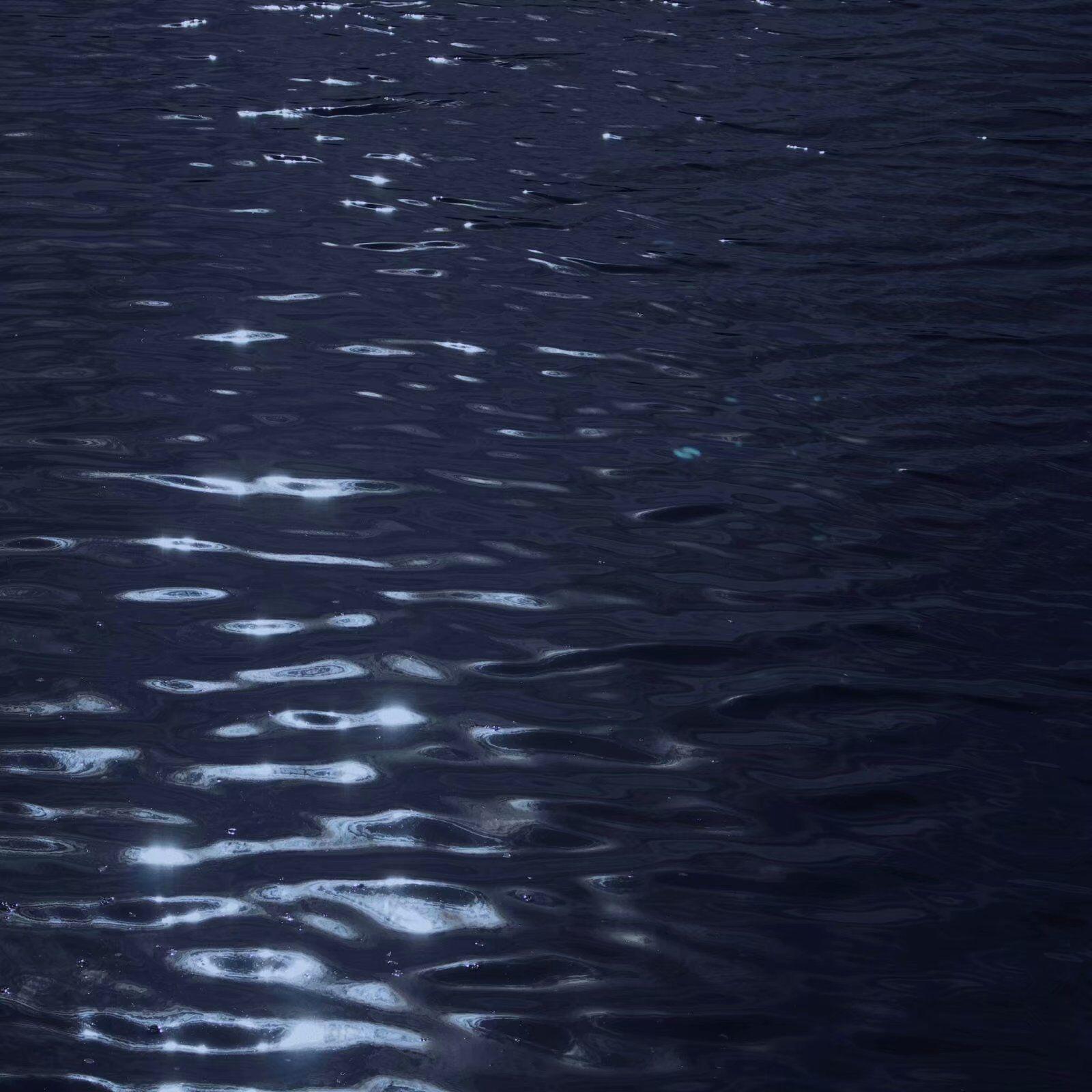 殉情的抹香鲸(吉他版)