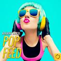 Karaoke Shock: Pop Feed专辑