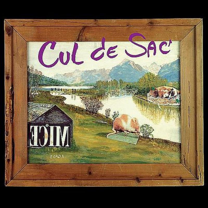 ECIM