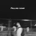 Falling Down