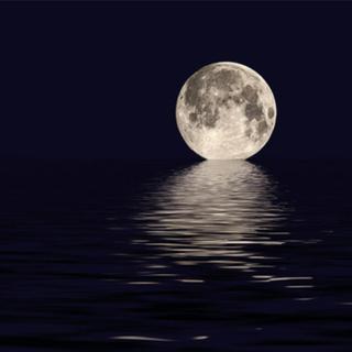 故乡今夜思千里，霜鬓明朝又一年