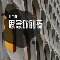 挡不住的思念 (bB伴奏)-挡不住的思念 (bB伴奏)