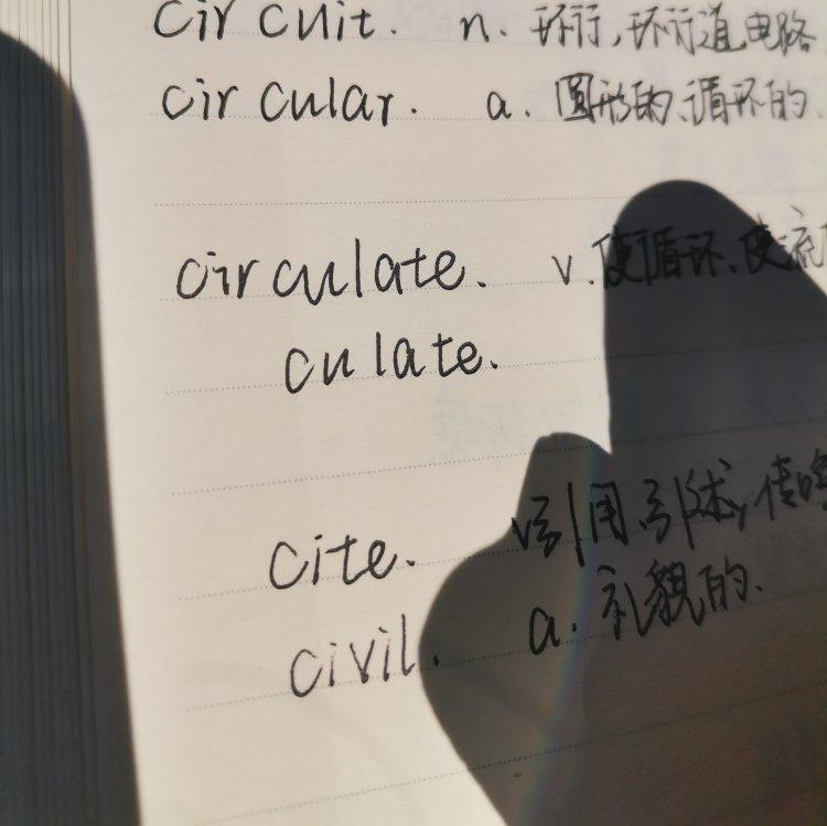 画画/看书/记笔记
