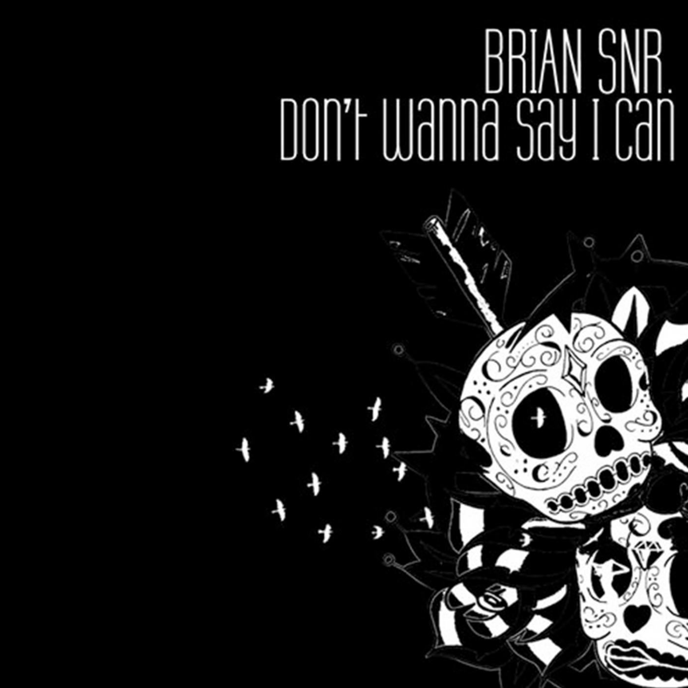 Don't Wanna Say I Can