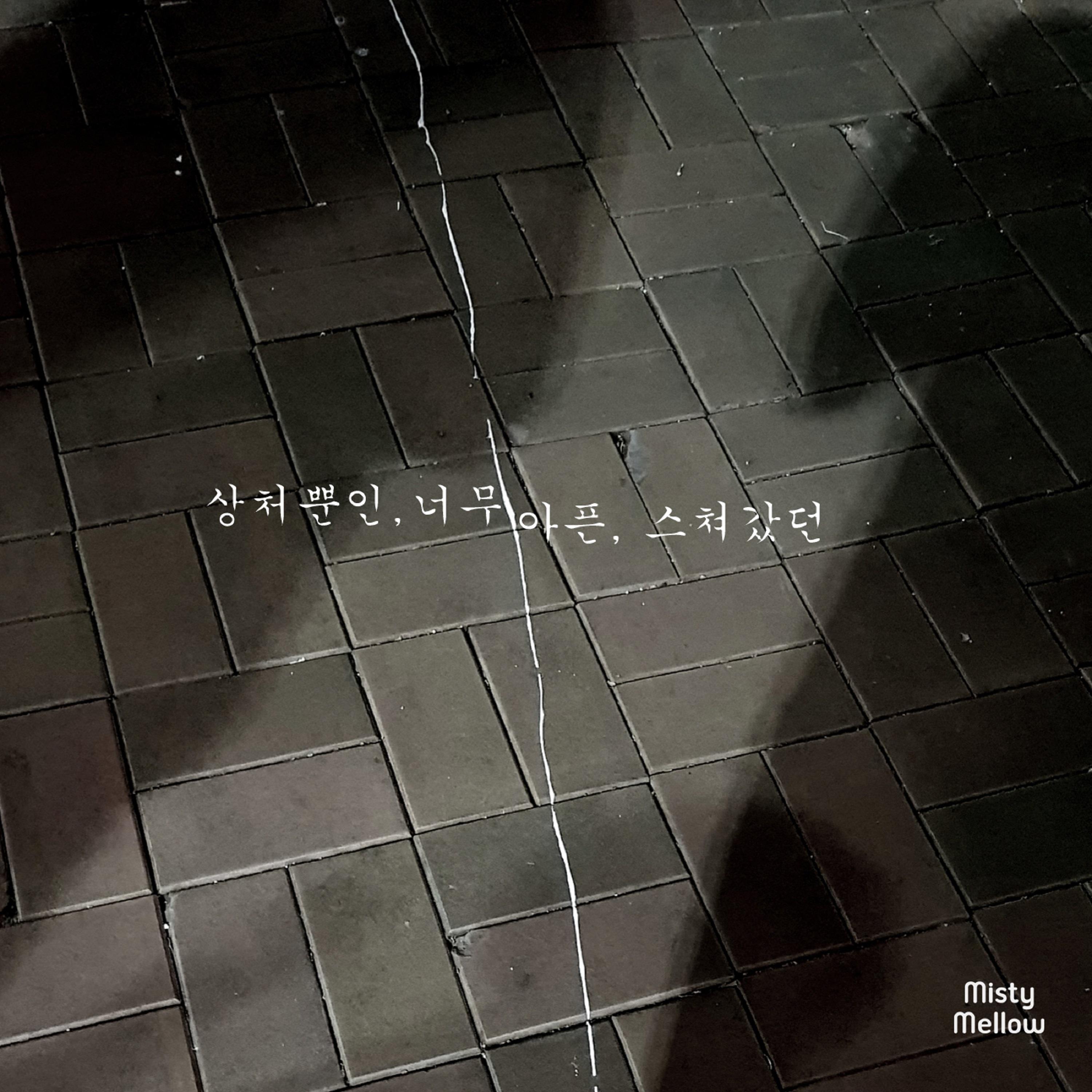 상처뿐인, 너무아픈, 스쳐갔던 (wounded, so painful, slip by)