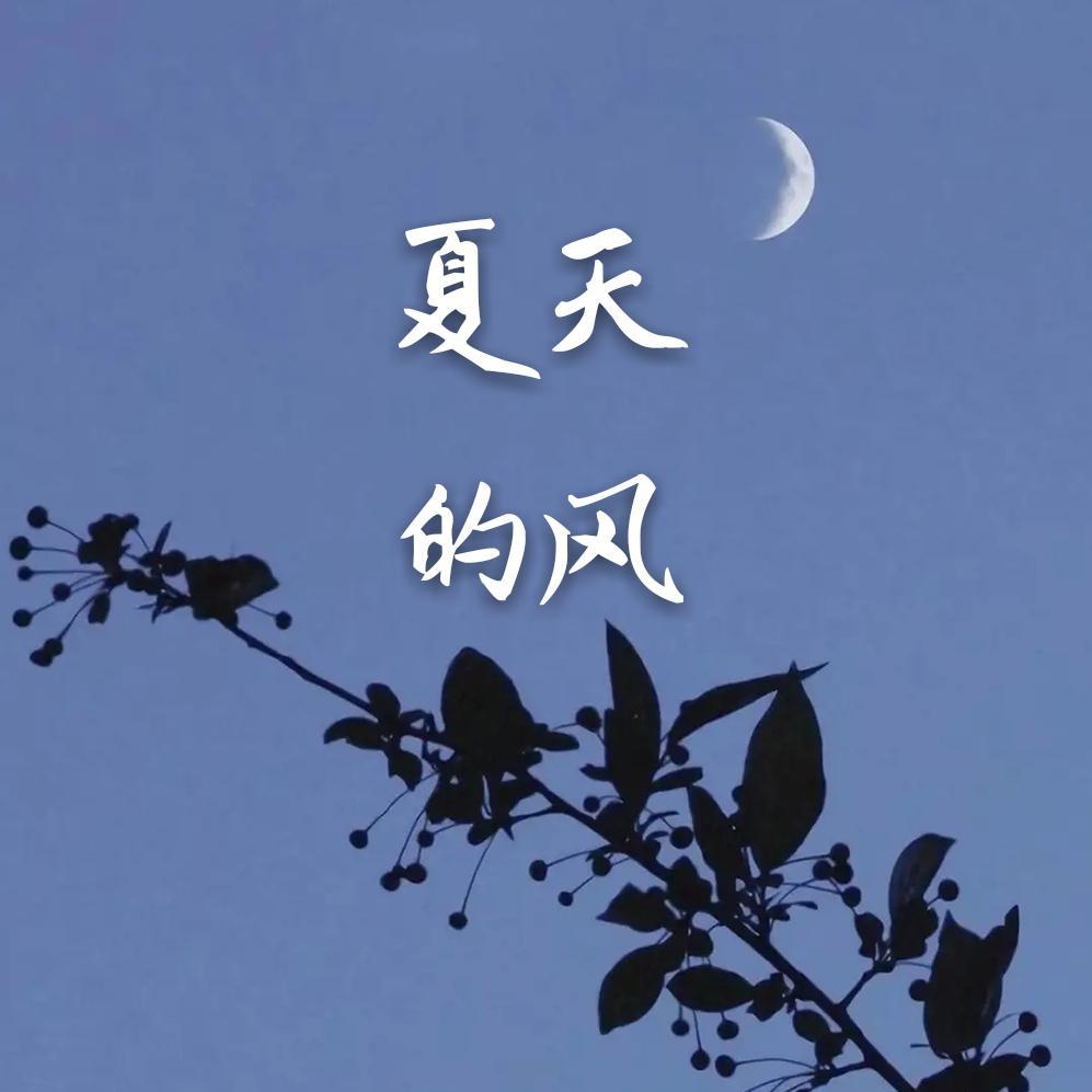 夏天的风