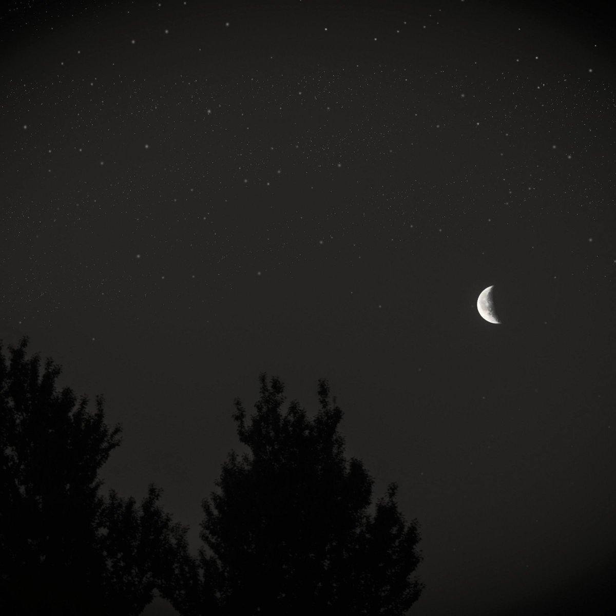 秋日私语（巨静心）