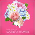 COVER NIGHT PLUS SOUND OF FLOWERS