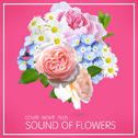 COVER NIGHT PLUS SOUND OF FLOWERS