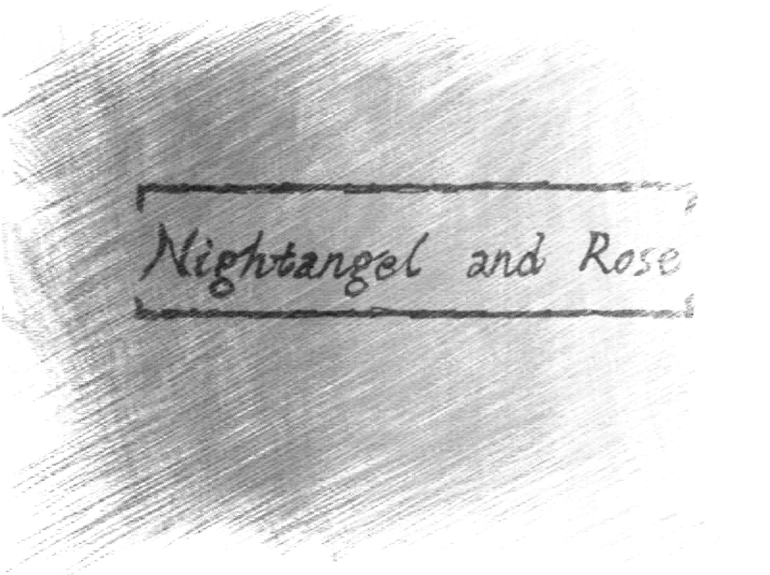 Nightangel and Rose