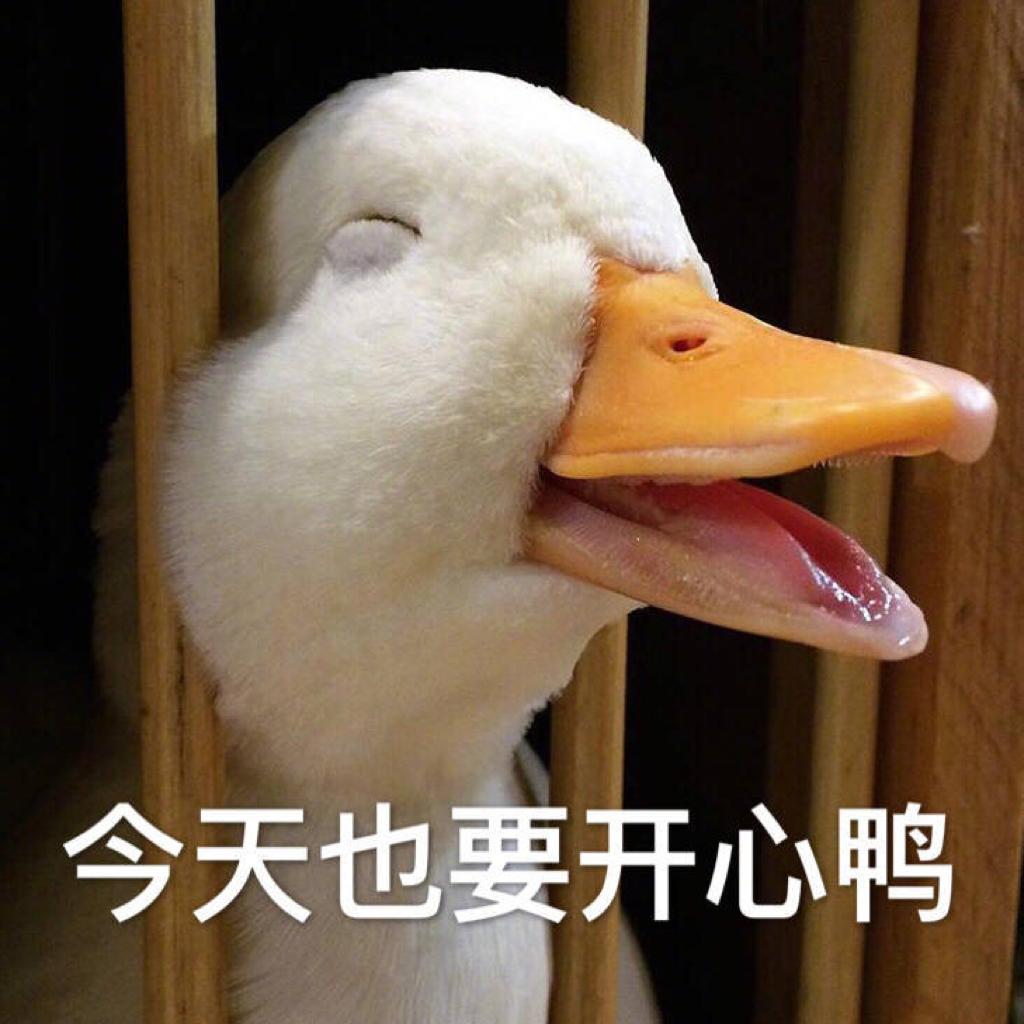 心情不好，一听就开心的歌单