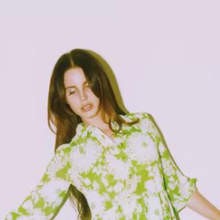 Lana Del Rey ！