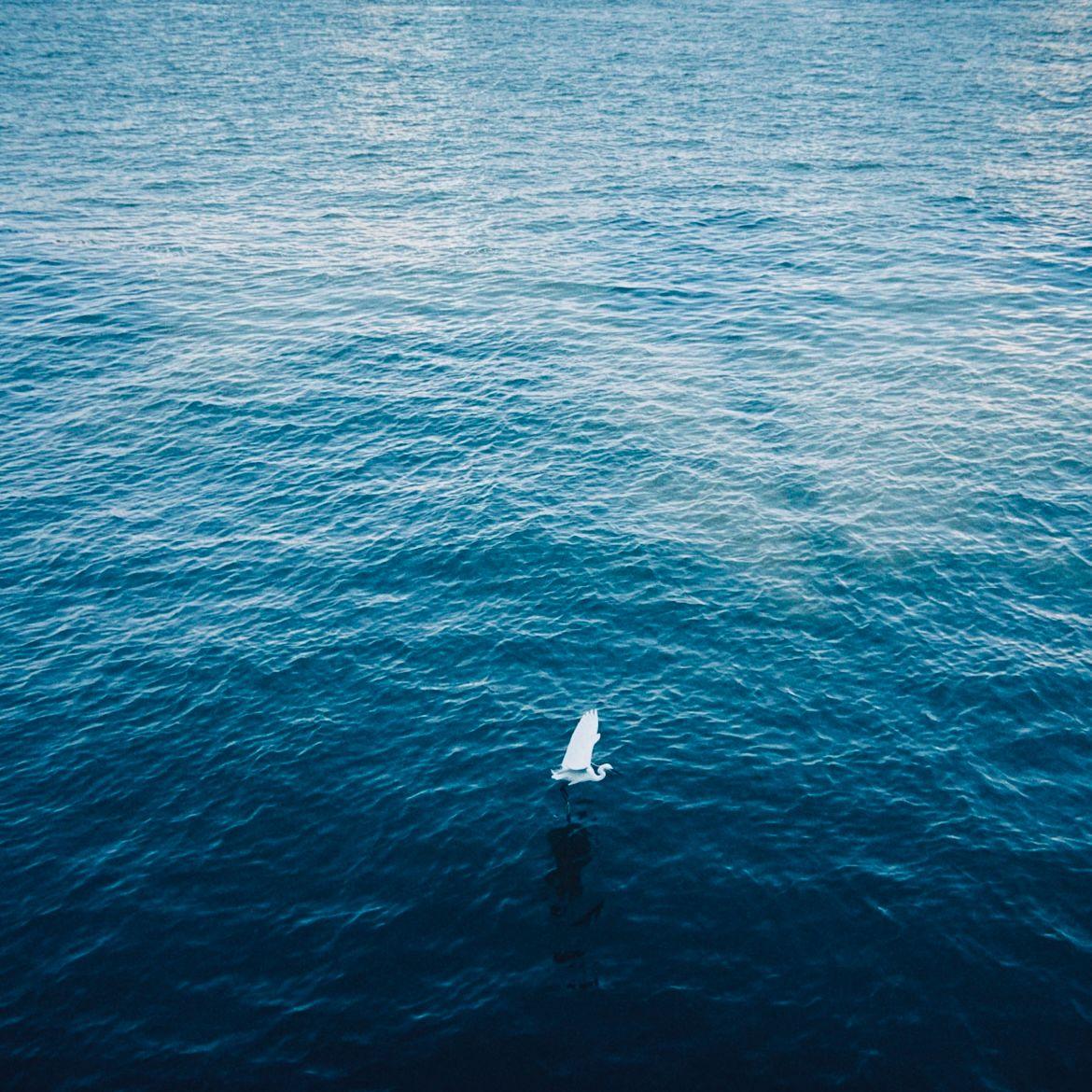 【Free】“Tonight”Sexy Drill&Jersey Club Type Beat