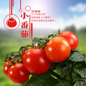 聂琳峰 - 小番茄(原版立体声伴奏)