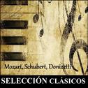 Selección Clásicos - Mozart, Schubert, Donizetti专辑