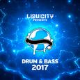 Riddle (Liquicity Drum & Bass 2017)