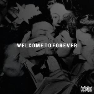 Welcome To Forever （原版立体声无和声）