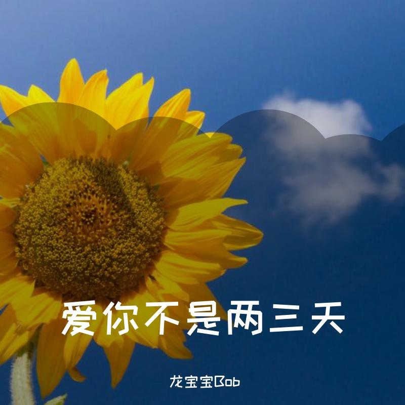 爱你不是两三天