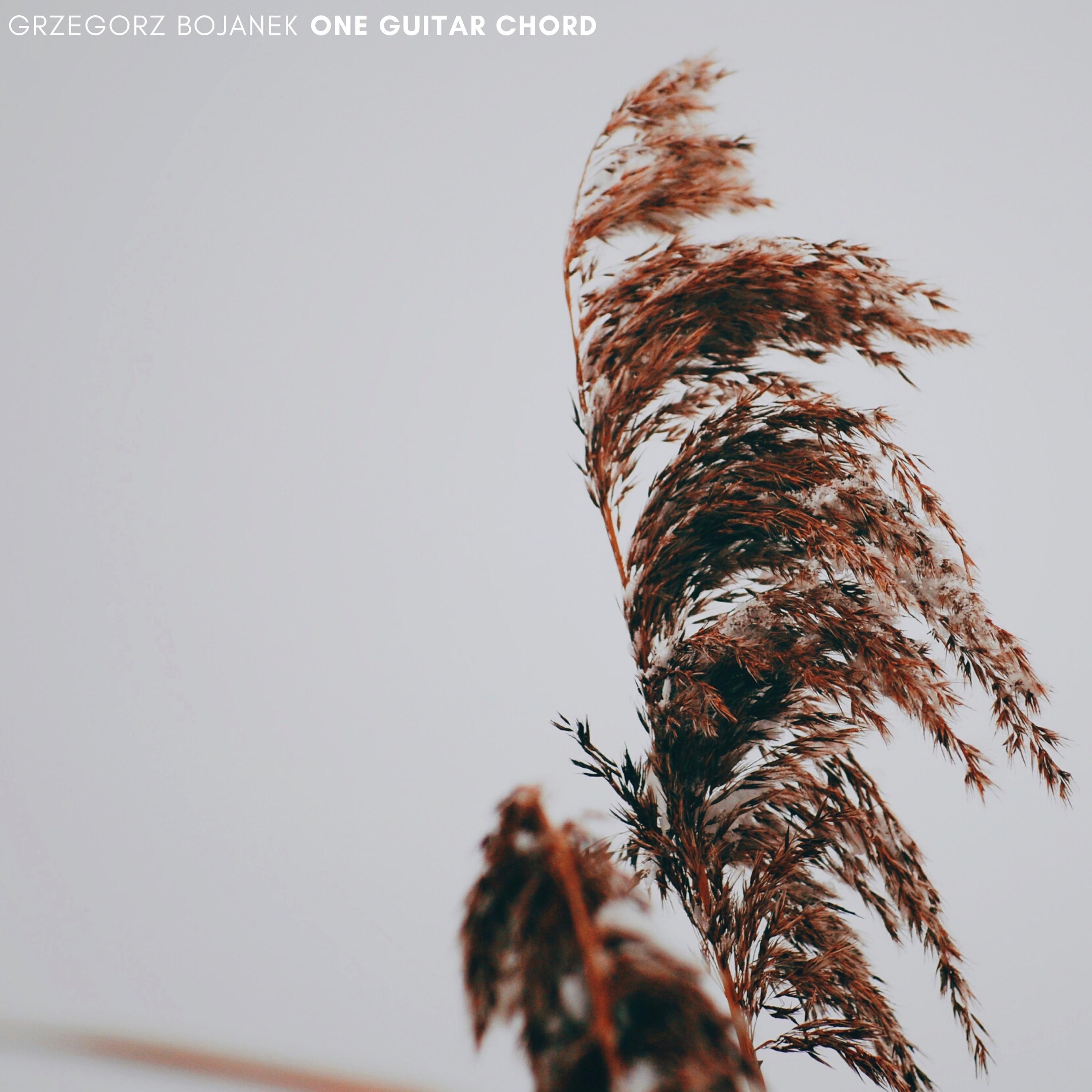 One Guitar Chord