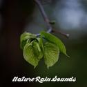 18 Nature Rain Sounds - Natural Meditation Noise专辑