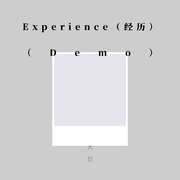 Experience（经历）（Demo）