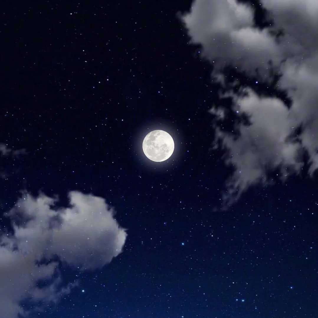蓝色胶水