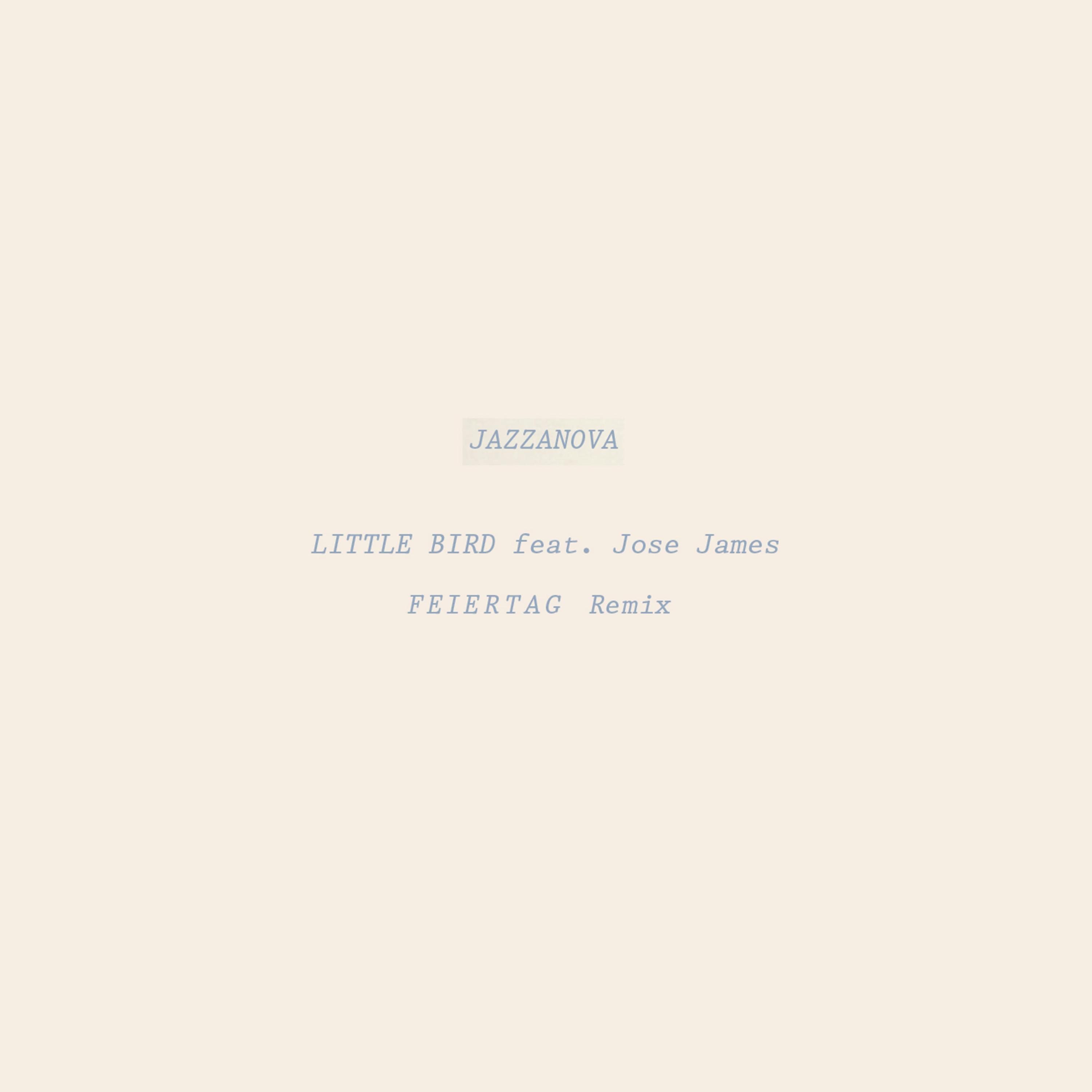 Little Bird (Feiertag Remix)