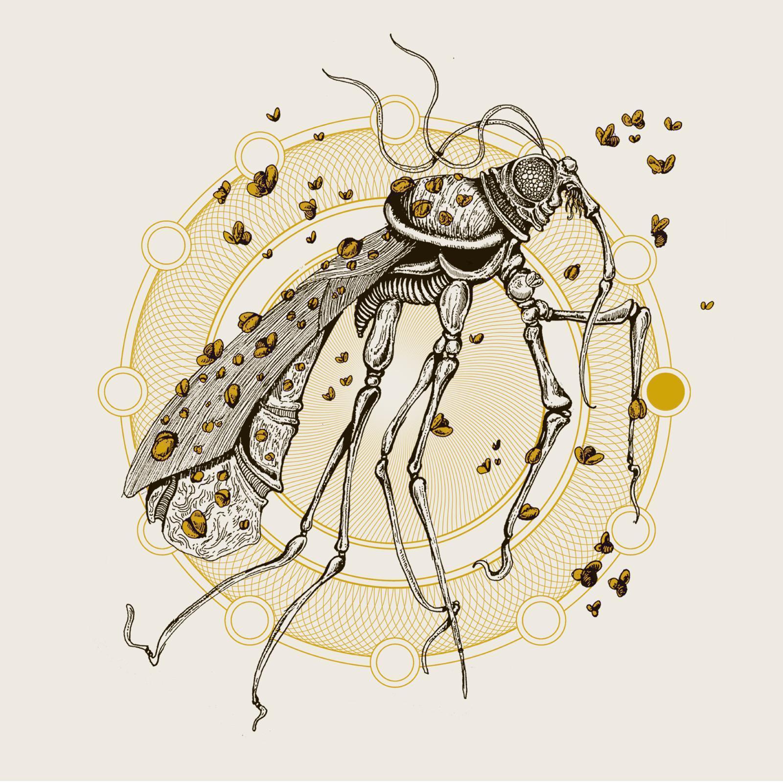 Rain Will Be the New Gold / Humongous Fungus