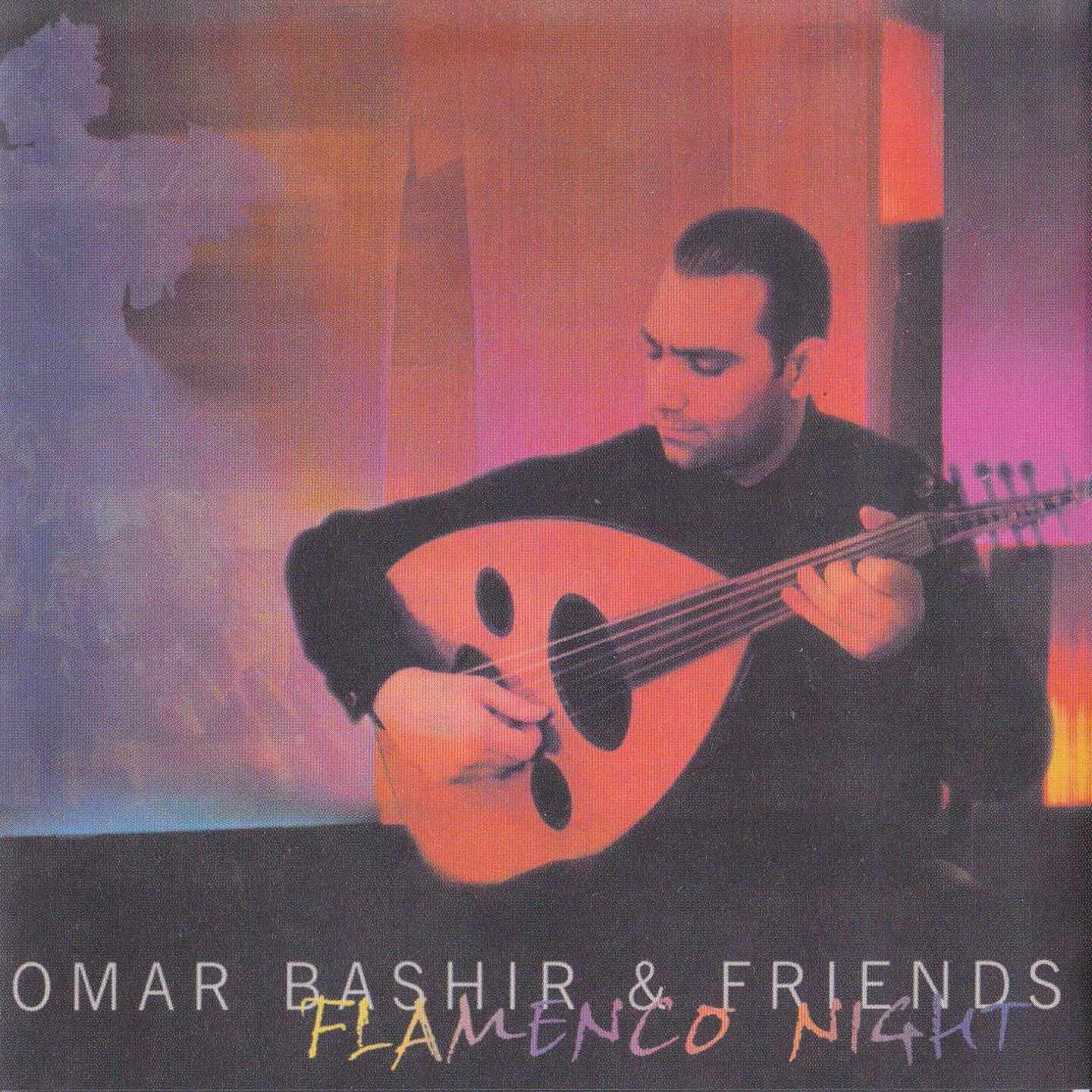 Flamenco Night
