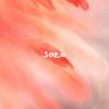 solae - warmth of tone