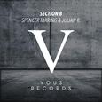 Section 8