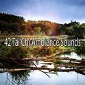 42 Tai Chi Ambience Sounds专辑