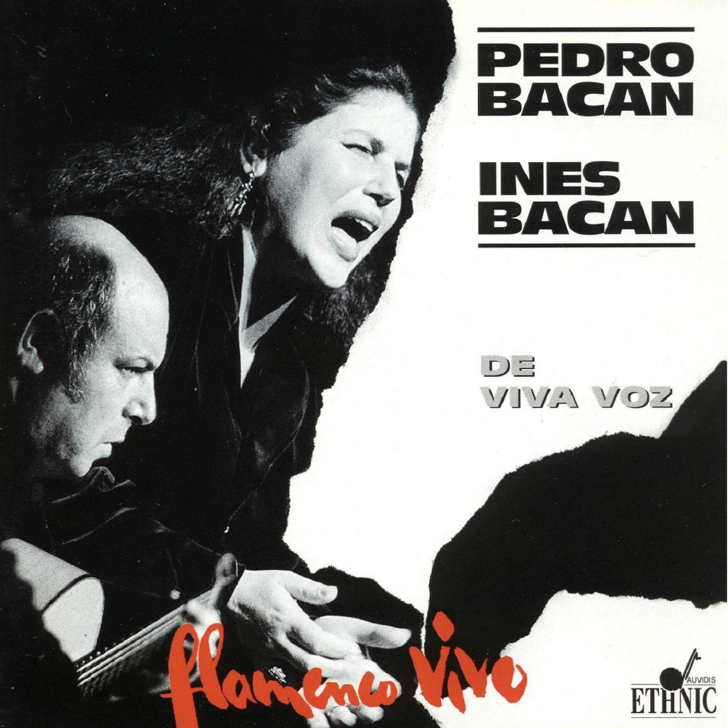 Flamenco Vivo